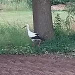 Lägenhet Krötenhof Barförde Barforde