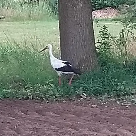 דירה Kroetenhof Barfoerde Barforde