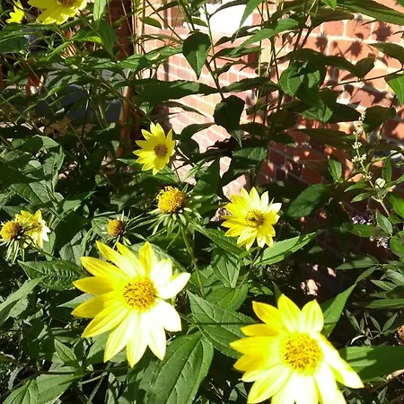 Kroetenhof Barfoerde דירה Barforde