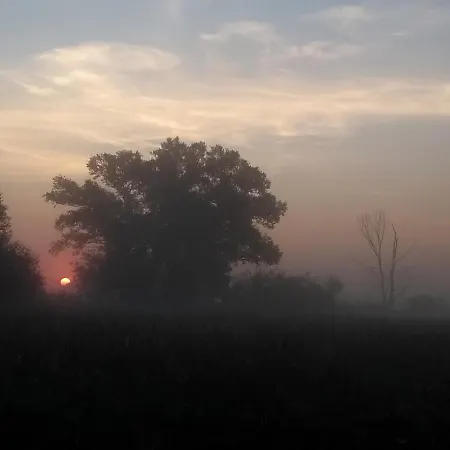 Kroetenhof Barfoerde Apartament Barforde