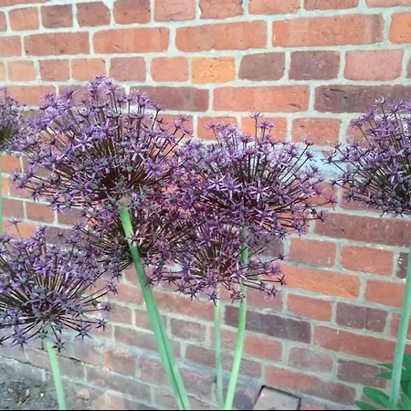 Apartament Kroetenhof Barfoerde *