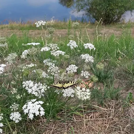 Kroetenhof Barfoerde Barforde