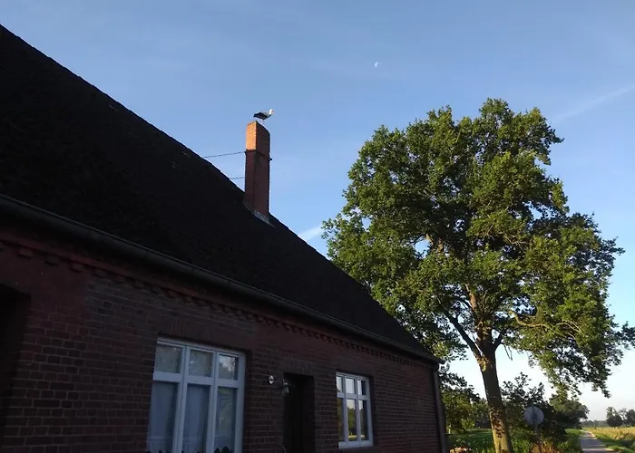 Kroetenhof Barfoerde 公寓