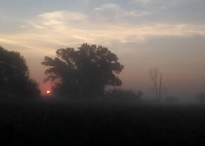 Kroetenhof Barfoerde 公寓 Barforde