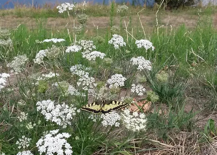 Kroetenhof Barfoerde Barforde